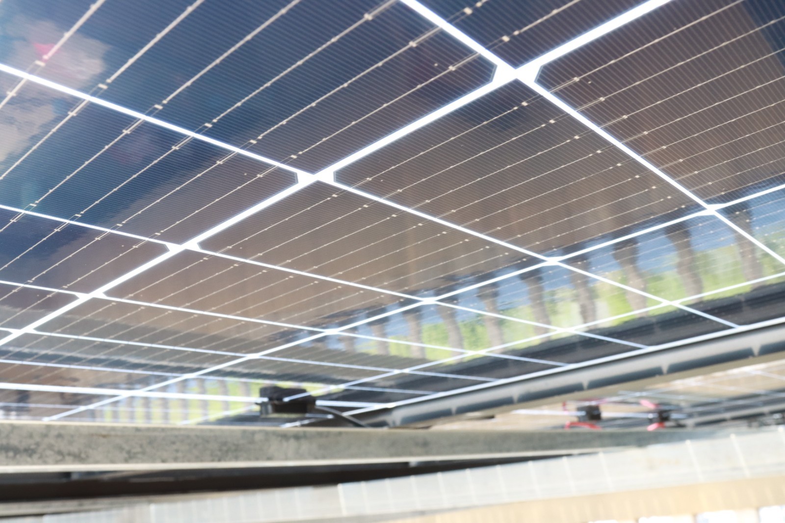 ºþ±±¾ÅÖݹÙÍøÂÌÉ«ÄÜÔ´ÓÐÏÞ¹«Ë¾ ºþ±±¾ÅÖݹÙÍøÂÌÉ«ÄÜÔ´ÓÐÏÞ¹«Ë¾