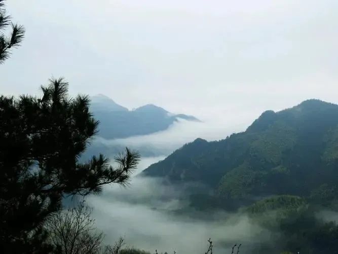 ºþ±±¾ÅÖݹÙÍøÂÌÉ«ÄÜÔ´ÓÐÏÞ¹«Ë¾ ºþ±±¾ÅÖݹÙÍøÂÌÉ«ÄÜÔ´ÓÐÏÞ¹«Ë¾