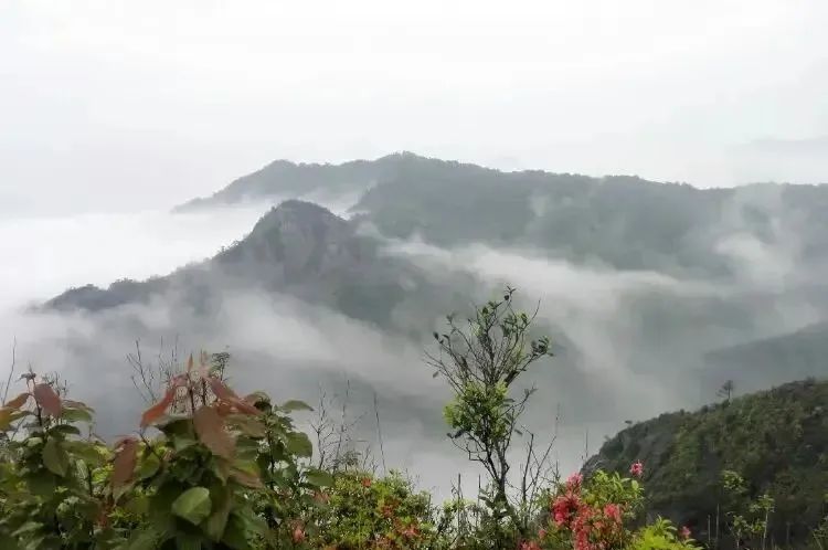 ºþ±±¾ÅÖݹÙÍøÂÌÉ«ÄÜÔ´ÓÐÏÞ¹«Ë¾ ºþ±±¾ÅÖݹÙÍøÂÌÉ«ÄÜÔ´ÓÐÏÞ¹«Ë¾