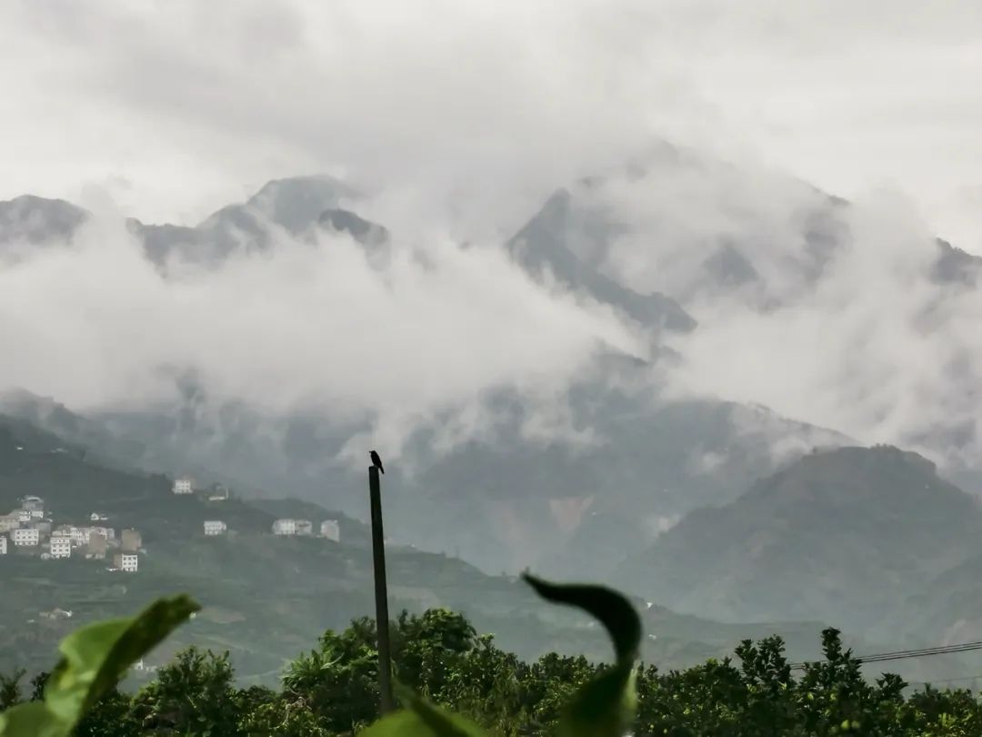 ºþ±±¾ÅÖݹÙÍøÂÌÉ«ÄÜÔ´ÓÐÏÞ¹«Ë¾ ºþ±±¾ÅÖݹÙÍøÂÌÉ«ÄÜÔ´ÓÐÏÞ¹«Ë¾