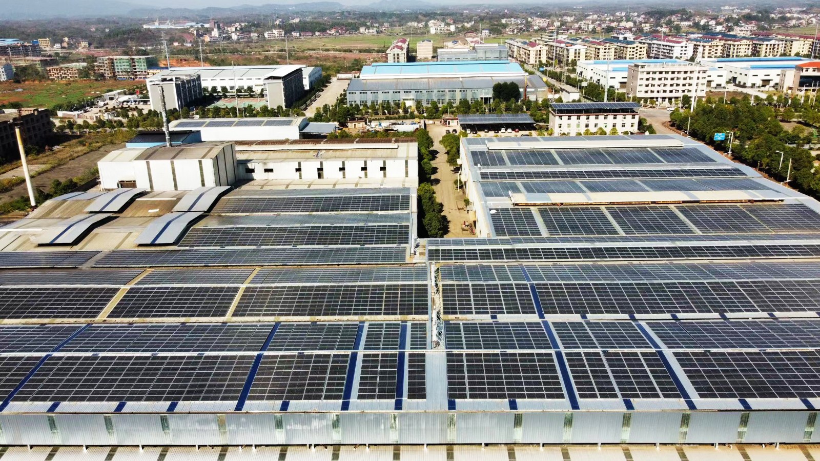 6¶ȾӸ߲عҪվΪҵҵõ