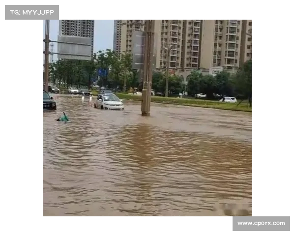 武汉暴雨引发严重内涝 武大校门积水一米深多地交通受阻 武汉暴雨引发严重内涝 武大校门积水一米深多地交通受阻